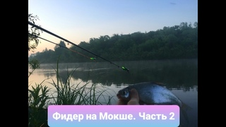 РЫБАЛКА С НОЧЁВКОЙ в июне 2020 на Мокше. Еда на костре. Ночная ловля. Потрясающий отдых на природе.