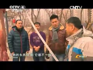 Tongbei pigua -Pigua  from:CCTV4 Experience real kungfu season2  Piguan Quan