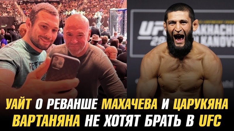 Дана Уайт о реванше Махачева и Царукяна, Чимаев о бое после