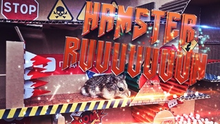 Хомяк в лабиринте 🐹 - полоса препятствий 😱 / Hamster in the maze 🐹 - obstacle course 😱
