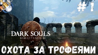 Dark Souls REMASTERED на платину: ч. 1. ИЗБРАННЫЙ МЕРТВЕЦ И ПЕРВЫЕ ТРОФЕИ