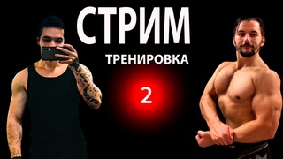 # 3 Апокриф тренирует Дайниса