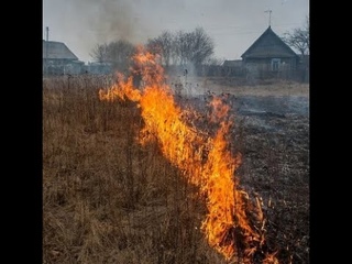 Видео о мерах пожарной безопасности в период пожароопасного сезона
