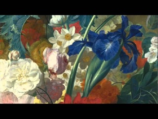 T. Albinoni: Adagio for violin, strings and basso continuo / Il Giardino Armonico