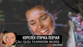 ’Королёк - птичка певчая’ (саундтрэк ремикс по легендарному турецкому сериалу) 👍🏻😍