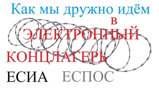 Эра тотального контроля.Как меня насмешили и напугали в МФЦ