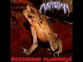 Amphibian - The Anal Zoophilia Taste