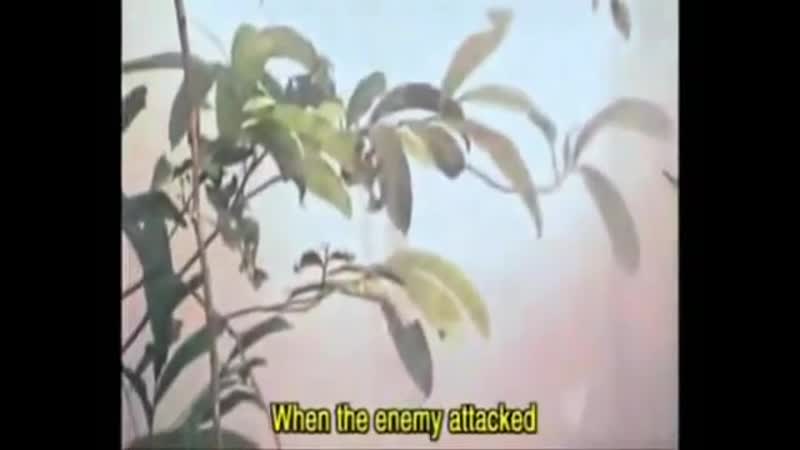 U. S. ARMY MASSACRED BY VIET