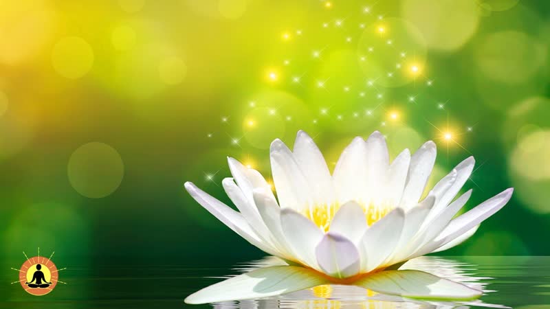 Relaxing Music, Healing Music, Meditation Music, Spa Music, Sleep, Zen, Flowing Stream