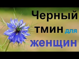 Семена и масло черного тмина польза для женщин.