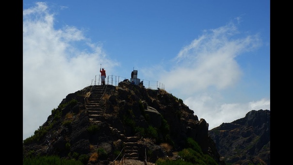 Pico