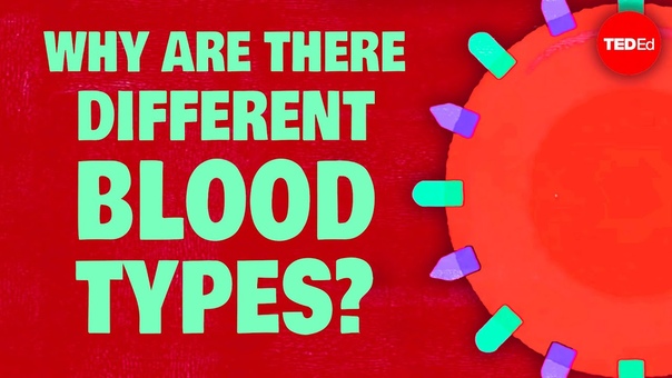 Why do blood types matter Natalie S.