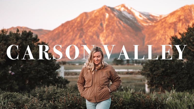 My Solo Trip to Carson Valley, Nevada, Wild Horses + Mountain