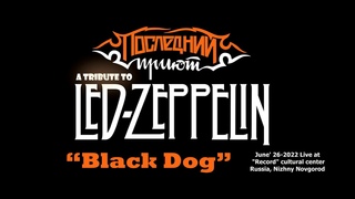 Последний Приют/Lastshelter - Black Dog (Page/Plant/Jones)