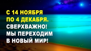 ОТКРЫТА ТАЙНА ЧЕЛОВЕЧЕСТВУ! ⚡️Новая Эпоха приближается 🌏