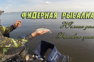 Фидерная рыбалка. Плотва стоит стеной!