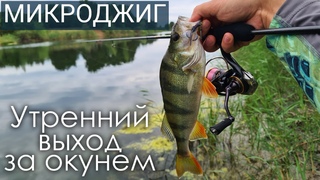 ПОПАЛ НА ТОЛСТЫХ ОКУНЕЙ! Микроджиг на озере