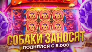 РАСКРУТИЛСЯ С  в THE DOG HOUSE ЛОВЛЮ БЕШЕНЫЕ БОНУСКИ