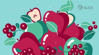 IDslice :: анимационное видео для вашего продукта или услуги