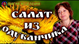 Салат из Одуванчиков, салат из листьев и стеблей одуванчика | Как приготовить салат из одуванчиков