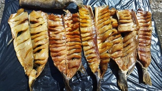 Юкола из щуки. Вкусный рецепт в домашних условиях