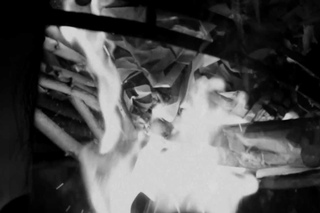 SCHOCK - APOCALYPSE NOW