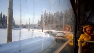 МТРЗ-6223. (399). Зимний лес. Петрозаводск. Солнце взошло.