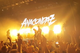 AnacondaZ  Выход и Мама я люблю...