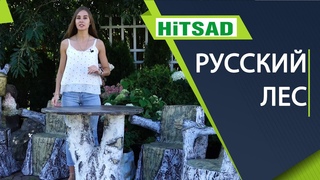 Оформление участка в стиле Русский лес -  берёзка, дубок, животные