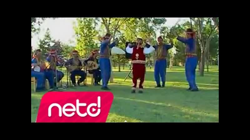 Çeşitli Sanatçılar Çiçek