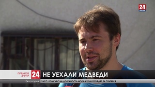Не уехали медведи