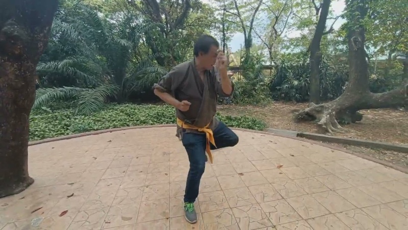 Ngo Cho Kun Phoenix Eye Fist Striking Method ( Hong Bak