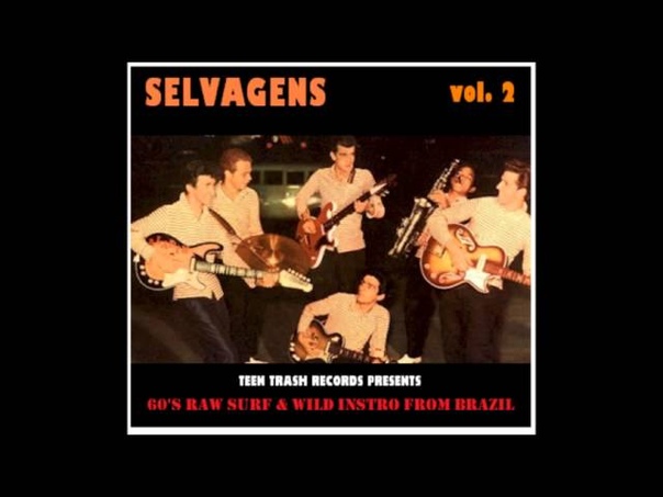 Selvagens Vol. 2 60s Raw Surf and Wild Instro From Brazil ( Full