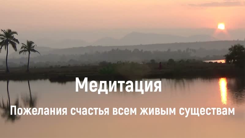 Медитация осознанности и пожелания счастья всем живым