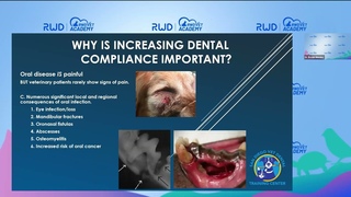 Маркетинг ветеринарной стоматологии / Veterinary Dentistry Marketing