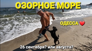 ОДЕССА ❤️ сегодня осень А У НАС ЛЕТО❗️МОРЕ ПЛЯЖ❗️САМЖЕНЕ ЧАСТЬ ПЕРВАЯ ❗️
