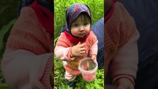 Земляничная поляна #ЯжеВика