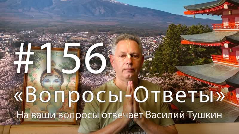 Вопросы Ответы, Выпуск, 156 Василий Тушкин отвечает на ваши