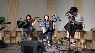 Birli Lagrne, 'Made in France' (Accordion / Guitar / Violin)