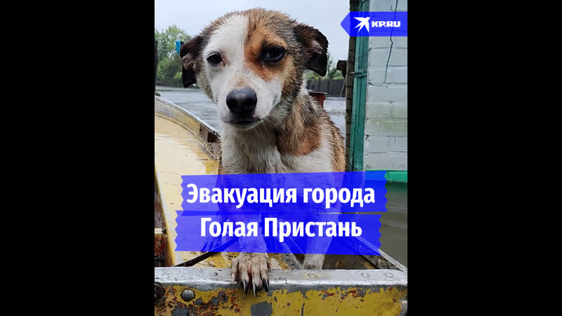 Эвакуация жителей Голой