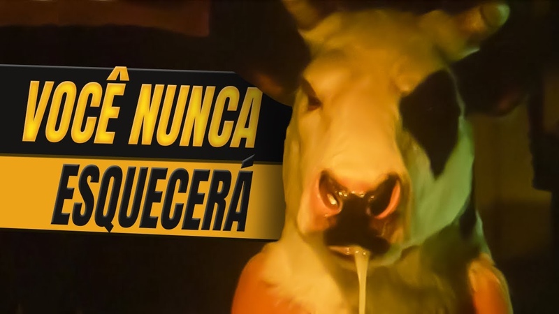 GOZU NÃ O É ISSO QUE VOCÊ ESTÁ PENSANDO (É