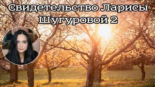Свидетельство Ларисы Шугуровой 2|