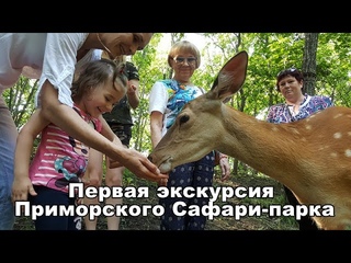 Первая экскурсия Приморского Сафари-парка