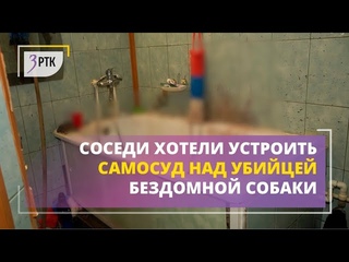 Соседи хотели устроить самосуд над убийцей бездомной собаки