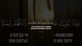 سورة الأنفال