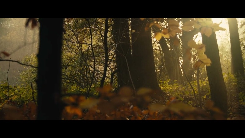 November Forest, BMPCC original, OG + Metabones 0. 58x Speedbooster Film
