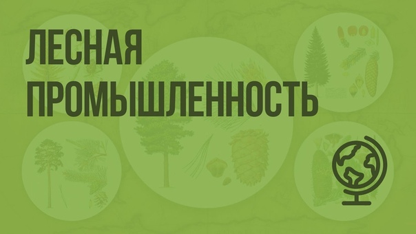 Лесная промышленность. Видеоурок по географии 9