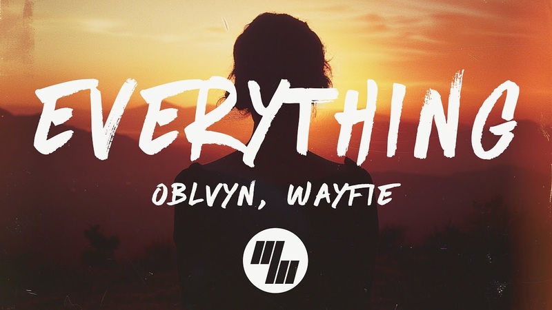 OBLVYN wayfie Everything (