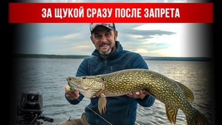 За щукой сразу после запрета. Рыбалка на Богучанском водохранилище!