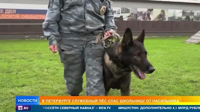 Служебный пес нашел живой девочку, которую педофил уволок в